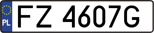 FZ4607G