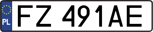 FZ491AE