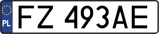 FZ493AE