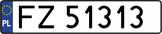 FZ51313