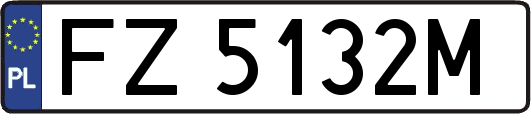 FZ5132M