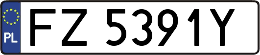 FZ5391Y