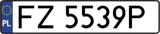 FZ5539P