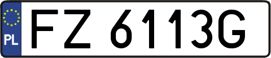 FZ6113G