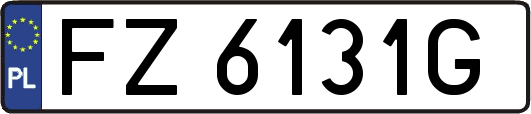 FZ6131G