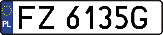 FZ6135G