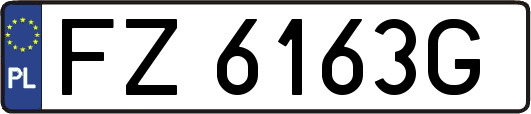 FZ6163G
