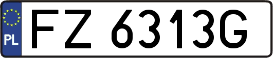 FZ6313G