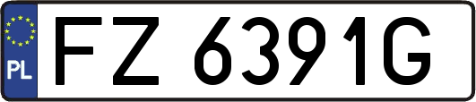 FZ6391G
