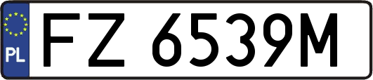 FZ6539M