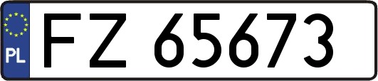 FZ65673