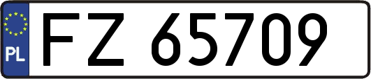 FZ65709