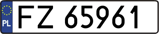 FZ65961