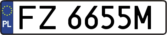 FZ6655M