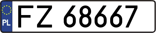 FZ68667