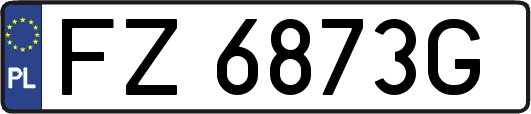 FZ6873G