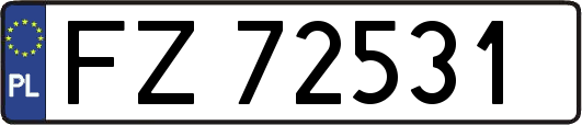 FZ72531