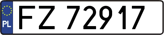 FZ72917