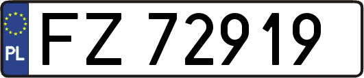 FZ72919