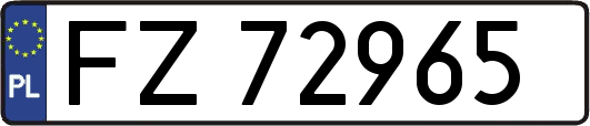 FZ72965