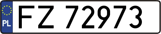 FZ72973