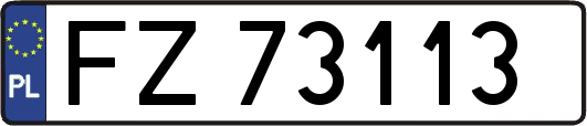 FZ73113