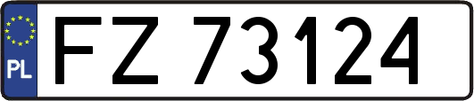 FZ73124