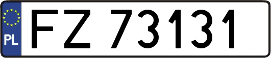 FZ73131