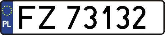 FZ73132