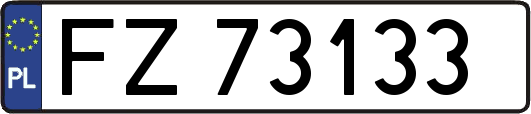 FZ73133