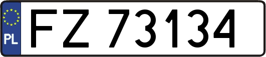 FZ73134