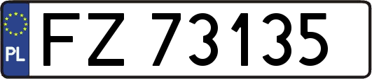 FZ73135