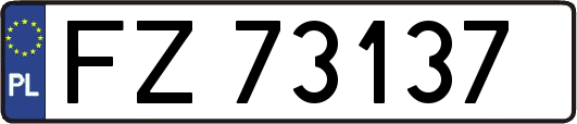 FZ73137