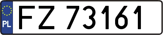 FZ73161