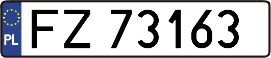 FZ73163