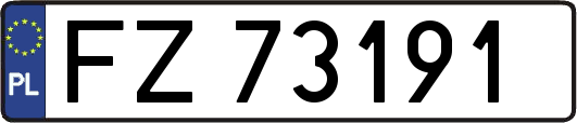 FZ73191