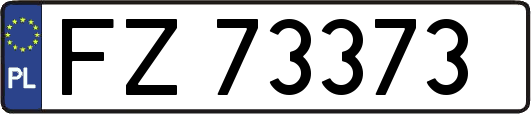 FZ73373