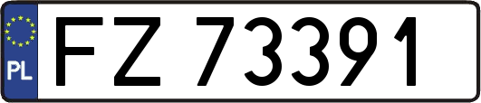FZ73391