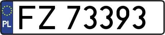 FZ73393