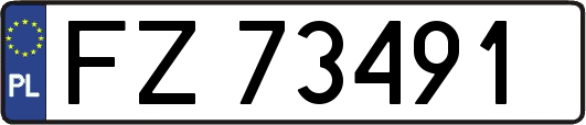 FZ73491