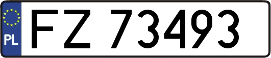FZ73493