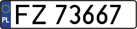 FZ73667
