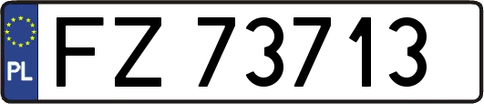 FZ73713