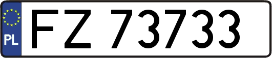 FZ73733