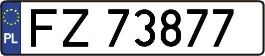 FZ73877