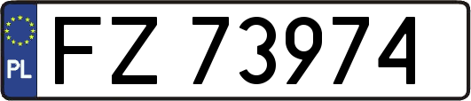 FZ73974