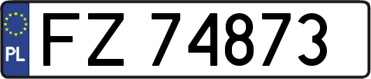 FZ74873