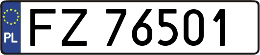 FZ76501