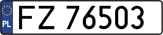 FZ76503