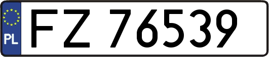 FZ76539